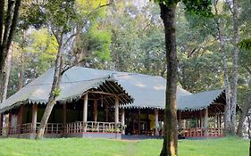 900 Woods Wayanad Eco Resort - A Sprawling Jungle Stay Near Glass Bridge
